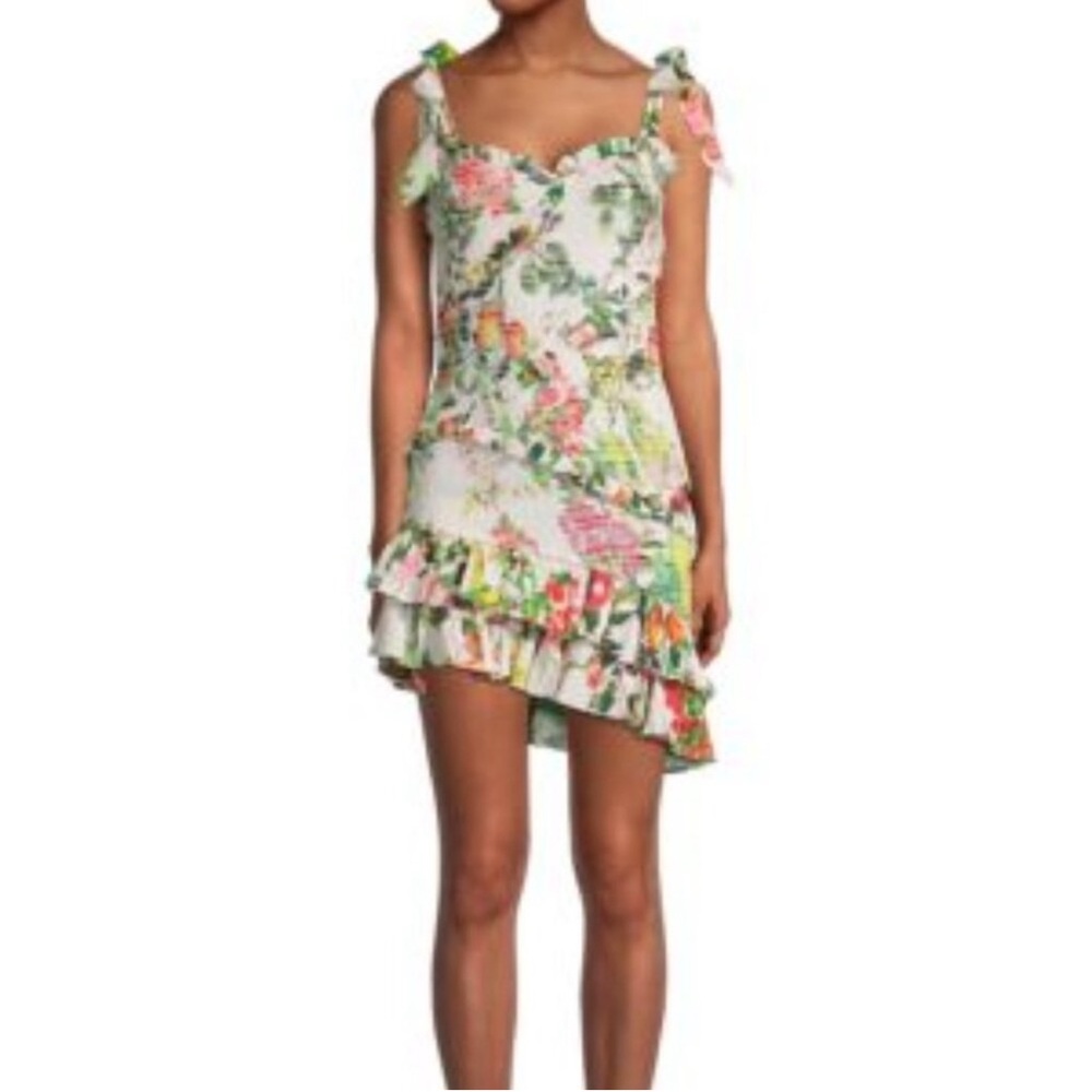 New! Rococo Sand Smocked Floral Ruffle Mini Dress Sz Large $440